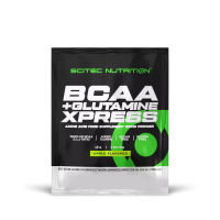 BCAA + GLUTAMINE XPRESS (12 GR.)